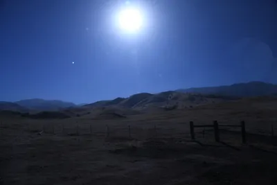 DSC_2163 (Large).JPG